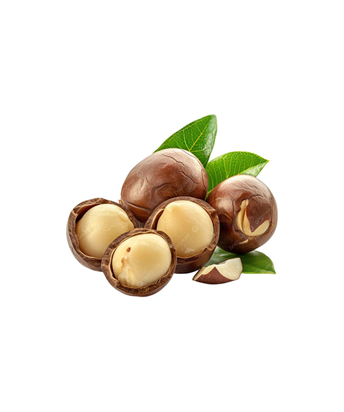 Macadamia